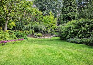 Optimiser l'expérience du jardin à Villiers-le-Sec